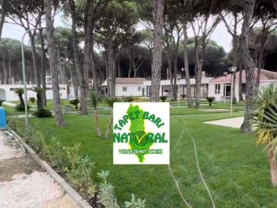 Golem, Kavaje Golem, Kavaje